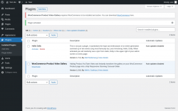 Page screenshot: Plugins &lsaquo; Test site &mdash; WordPress