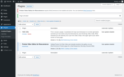 Page screenshot: Plugins &lsaquo; Test site &mdash; WordPress