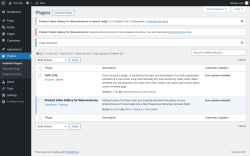 Page screenshot: Plugins &lsaquo; Test site &mdash; WordPress