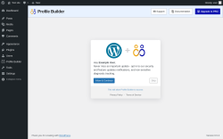 Page screenshot: Profile Builder &rarr; Add-Ons