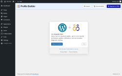 Page screenshot: Profile Builder &rarr; Settings