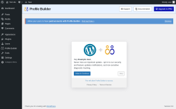 Page screenshot: Profile Builder &rarr; Admin Email Customizer