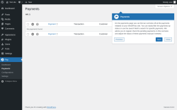 Page screenshot: Pay → Payments