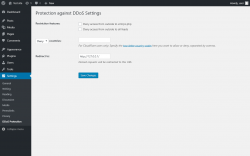 Page screenshot: Settings &rarr; DDoS Protection