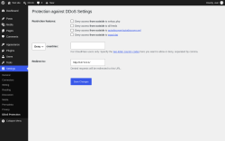 Page screenshot: Settings &rarr; DDoS Protection