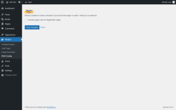 Page screenshot: Plugins  → RUH Config