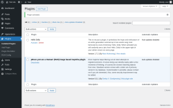 Page screenshot: Plugins ‹ Test site — WordPress