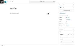 Page screenshot: Add Post ‹ Test site — WordPress