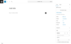 Page screenshot: Add Post ‹ Test site — WordPress
