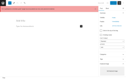 Page screenshot: Add New Post ‹ Test site — WordPress