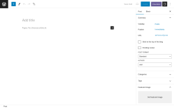 Page screenshot: Add New Post ‹ Test site — WordPress