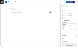 Page screenshot: Add New Post ‹ Test site — WordPress