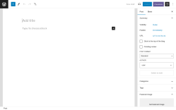 Page screenshot: Add New Post ‹ Test site — WordPress