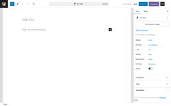 Page screenshot: Add New Post ‹ Test site — WordPress