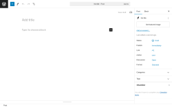 Page screenshot: Add New Post ‹ Test site — WordPress