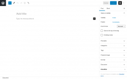 Page screenshot: Add New Post ‹ Test site — WordPress