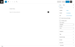 Page screenshot: Add New Post ‹ Test site — WordPress