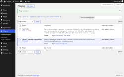 Page screenshot: Plugins &lsaquo; Test site &mdash; WordPress