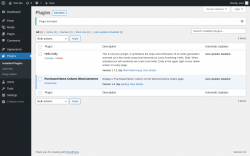 Page screenshot: Plugins &lsaquo; Test site &mdash; WordPress