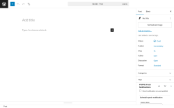 Page screenshot: Add Post ‹ Test site — WordPress