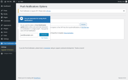 Page screenshot: Push Notifications
