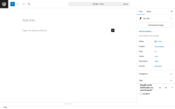Page screenshot: Add Post ‹ Test site — WordPress
