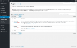 Page screenshot: Plugins &lsaquo; Test site &mdash; WordPress