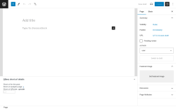 Page screenshot: Add New Page &lsaquo; Test site &mdash; WordPress