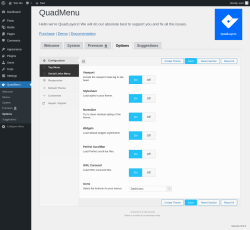 Page screenshot: QuadMenu → Options