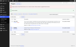 Page screenshot: Plugins &lsaquo; Test site &mdash; WordPress