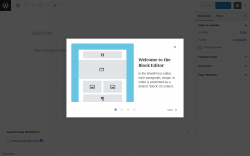 Page screenshot: Add New Page &lsaquo; Test site &mdash; WordPress