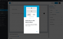Page screenshot: Add New Page &lsaquo; Test site &mdash; WordPress