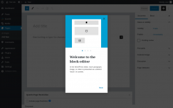 Page screenshot: Add New Page &lsaquo; Test site &mdash; WordPress