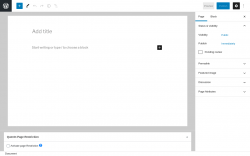 Page screenshot: Add New Page &lsaquo; Test site &mdash; WordPress