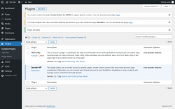 Page screenshot: Plugins &lsaquo; Test site &mdash; WordPress