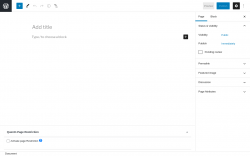 Page screenshot: Add New Page &lsaquo; Test site &mdash; WordPress