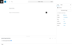 Page screenshot: Add Page &lsaquo; Test site &mdash; WordPress