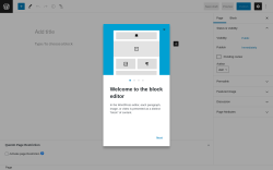 Page screenshot: Add New Page &lsaquo; Test site &mdash; WordPress