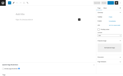Page screenshot: Add New Page &lsaquo; Test site &mdash; WordPress