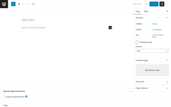 Page screenshot: Add New Page &lsaquo; Test site &mdash; WordPress
