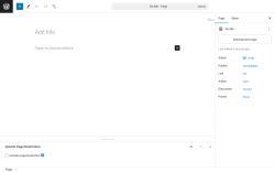 Page screenshot: Add New Page &lsaquo; Test site &mdash; WordPress