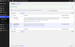 Page screenshot: Plugins &lsaquo; Test site &mdash; WordPress