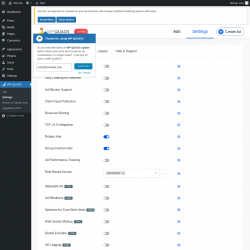 Page screenshot: WP QUADS → Settings