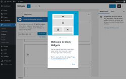 Page screenshot: Widgets ‹ Test site — WordPress
