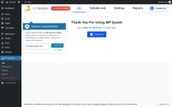 Page screenshot: Ads ‹ Test site — WordPress