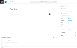 Page screenshot: Add Post ‹ Test site — WordPress