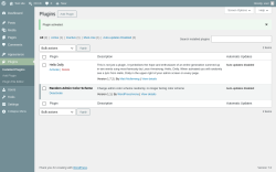 Page screenshot: Plugins &lsaquo; Test site &mdash; WordPress