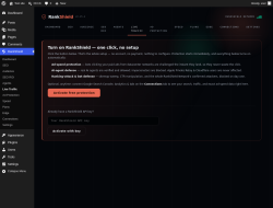 Page screenshot: RankShield &rarr; Live Traffic