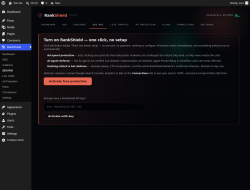 Page screenshot: RankShield &rarr; SEO ROI