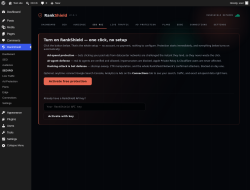 Page screenshot: RankShield &rarr; SEO ROI